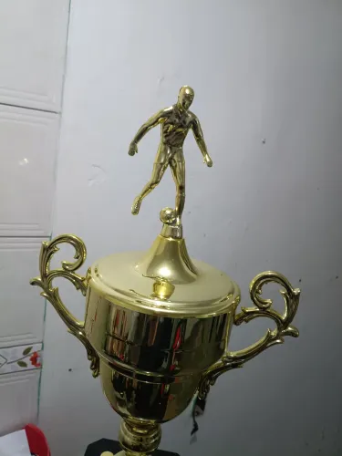 Ganhei o campeonato sábado, trouxe pra casa,
