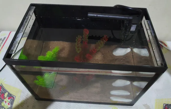 Aquário Para Peixe Semi Novo