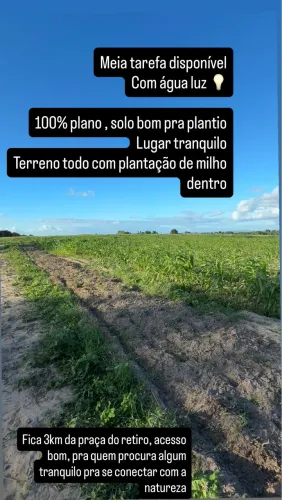 Meia tarefa disponível