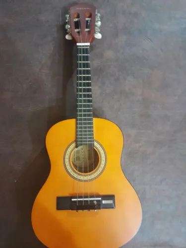 Cavaquinho vogga elétrico