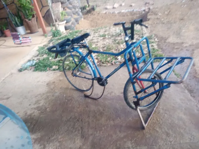 Bicicleta cargueiro 