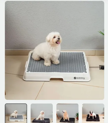 Weasy banheiro inteligente pet