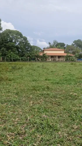 Fazenda à venda colmeia Tocantins