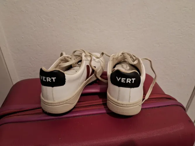 Tenis