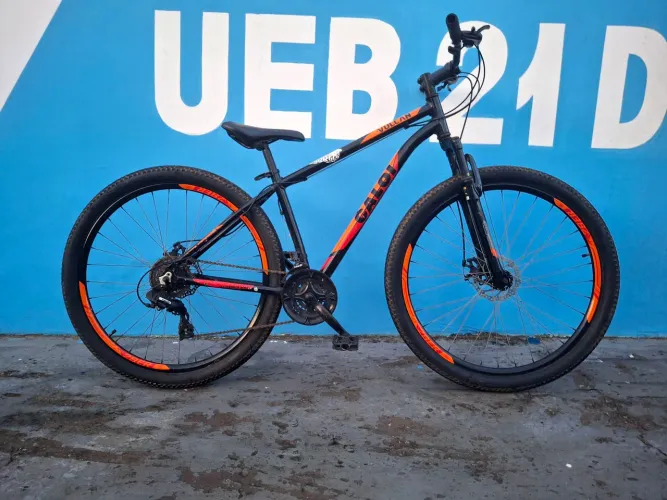 Bike aro 29