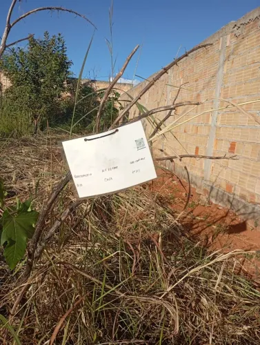 Lote em São Sebastião 230m