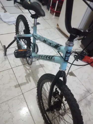 Bicicleta aro20 infantil