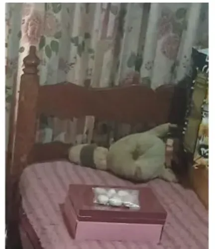 Cama de solteiro em madeira (sem colchão)