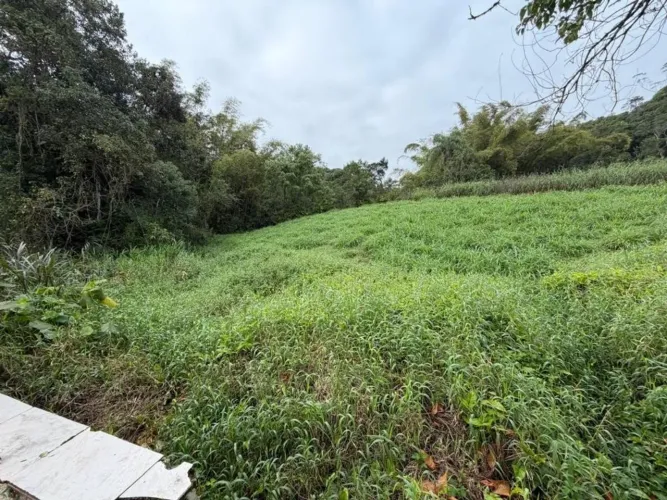 TERRENO no SANTA CATARINA com 0 quartos para VENDA, 38557 m²