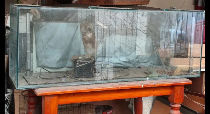 Aquário 327 Litros