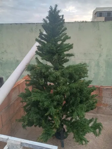 Vende-se Árvore de Natal de 2 Metros