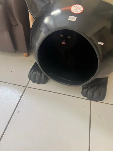 Casinha para gatos 