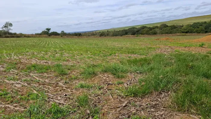 Vendo Chácara na DF 130, Região do PADEF 3.2 Hectares !!! 380.000 !!!