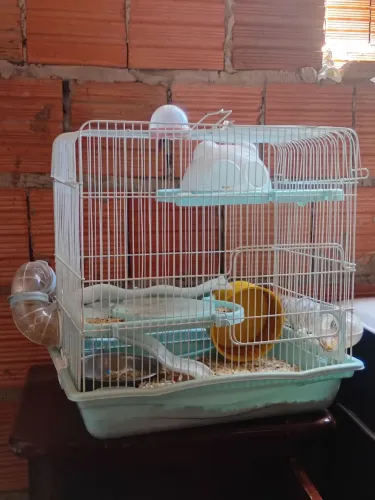 Gaiola de hamster ?