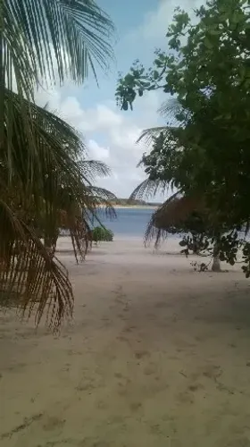 Chácara com 4 dormitórios à venda, 12000 m² por R$ 1.200.000,00 - Lagoa Do Bonfim - Nísia 