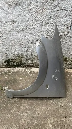 Paralama C3 Lado Esquerdo (detalhes) Usado N15