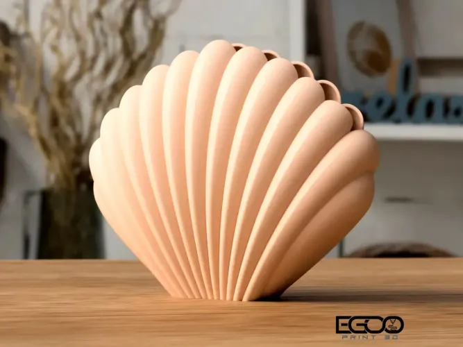 Concha Decorativa