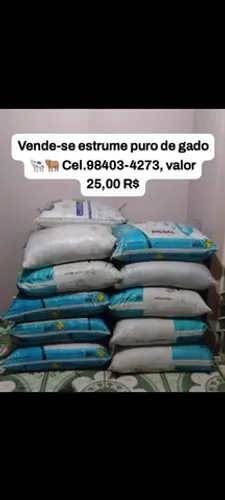 Estrume de gado puro