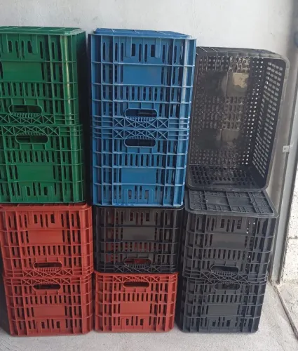 Caixas de plástico orthifrut