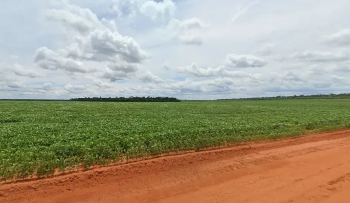 Fazenda em Nova Maringá MT. 480 hec 10 milhões 