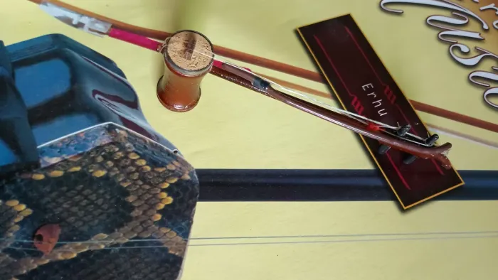 Fascículo Instrumentos Musicais - Erhu
