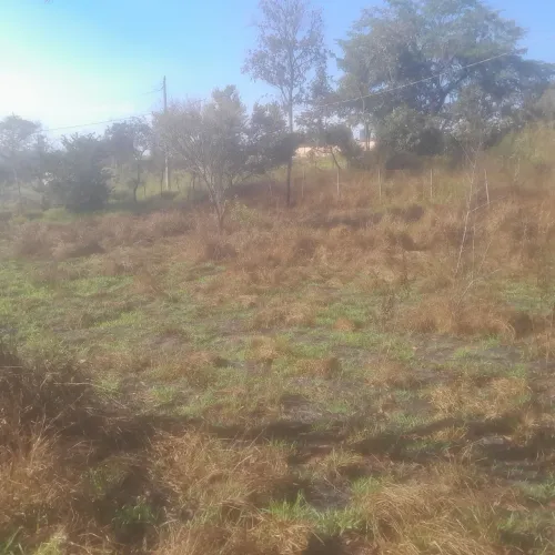 Lotes com escritura e registro