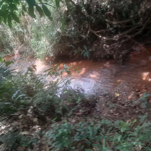 Terreno  com riacho e natureza exuberante