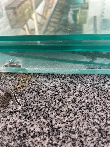 Prateleiras de Vidro diversas com tucanos