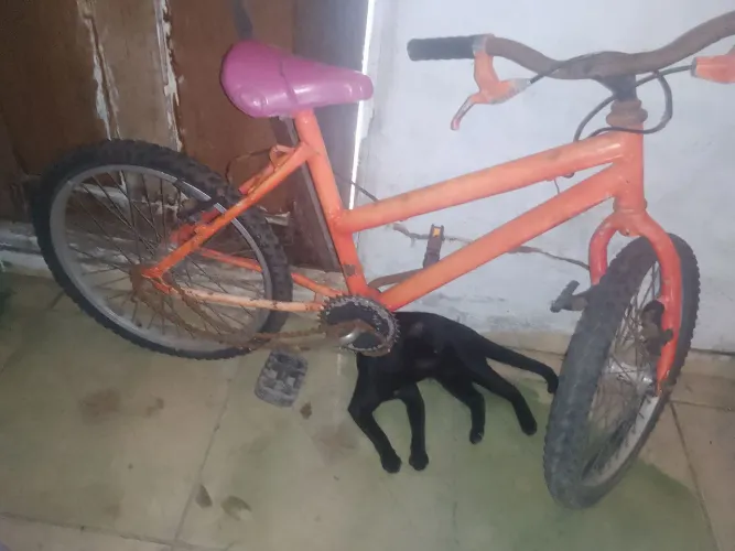 Vendo bicicleta infantil com avarias