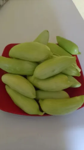 Verduras, legumes e frutas
