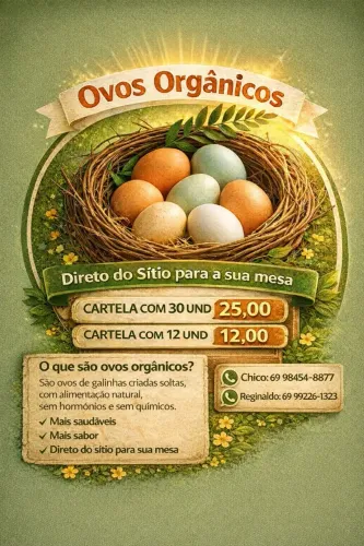 Ovos orgânicos
