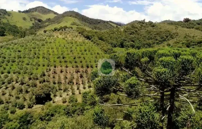 Fazenda à venda, 820000 m² por R$ 8.000.000,00 - Caquende - Delfim Moreira/MG