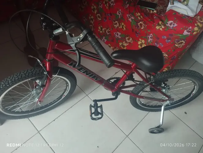 Bicicleta