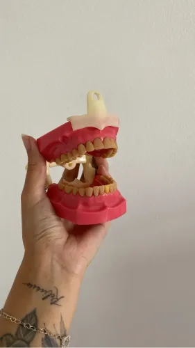 Manequim odontológico 