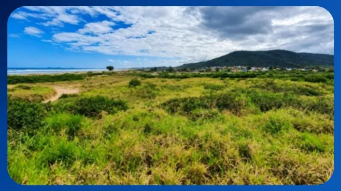 LOTE - Nº 04, Quadra B-02, Loteamento Sollage, Imbituba/SC, Área de 450,00m² - Imbituba/SC