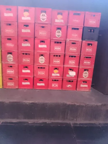 Caixas com cascos 600ml vazio