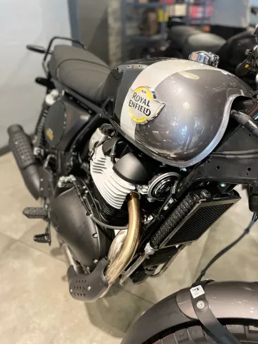 BEAR 650CC GOLDEN SHADOW - JOÃO 