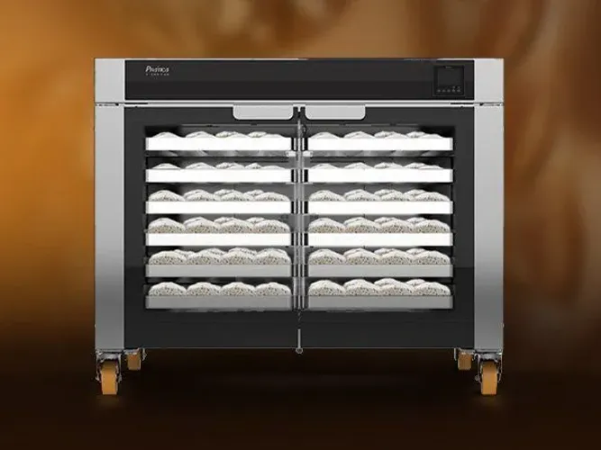 Vendo Fermentadora Pratica 4.6