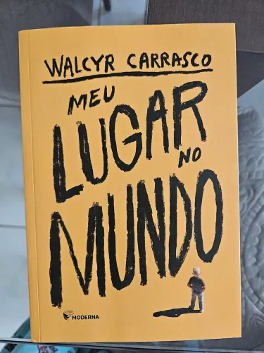 Livro juvenil adolescente Meu Lugar No Mundo de Walcyr Carrasco
