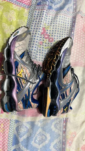 Mizuno prophecy 2