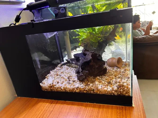 Aquário de 20L completo