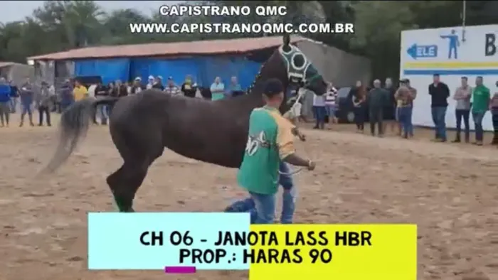 Égua pura filha do iama suribet