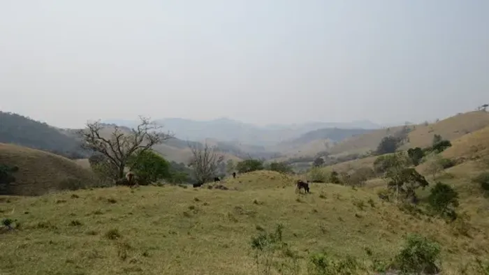 Área à venda, 20000 m² por R$ 330.000,00 - Mg - Consolação/MG