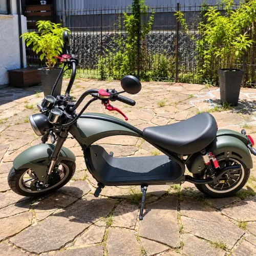 Scooter Elétrica Chopper Citycoco M8, verde fosco, com alforjes