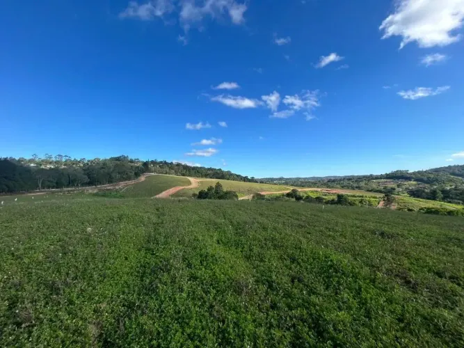 Viva cercado pelo verde  Terreno de 500m² em Cotia com excelente localização!