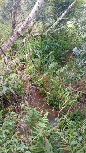 Vendo Terreno bairro Paloma