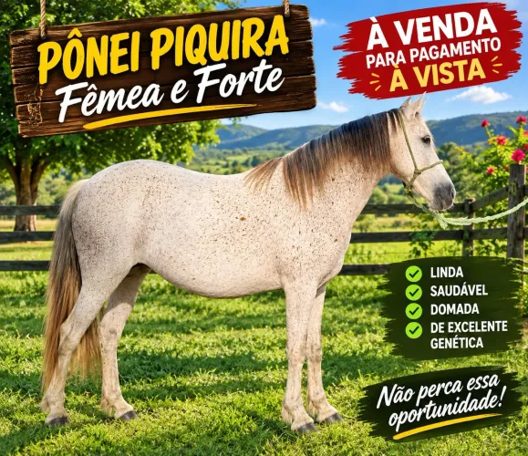 Pônei