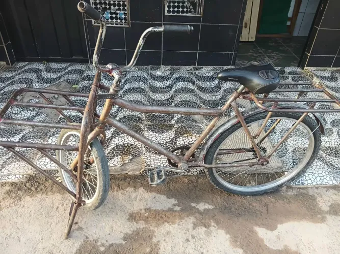 Bicicleta cargueira