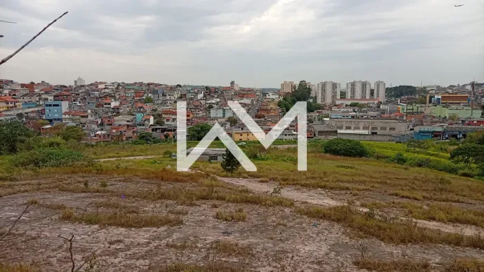 Lote / Terreno - Jardim Beirute