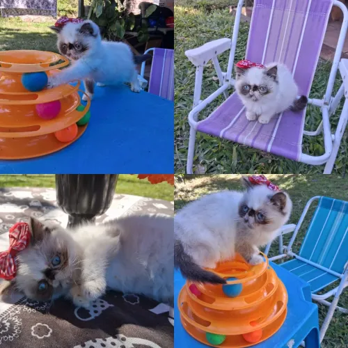 Exoticazinha um mimo, aproveite!